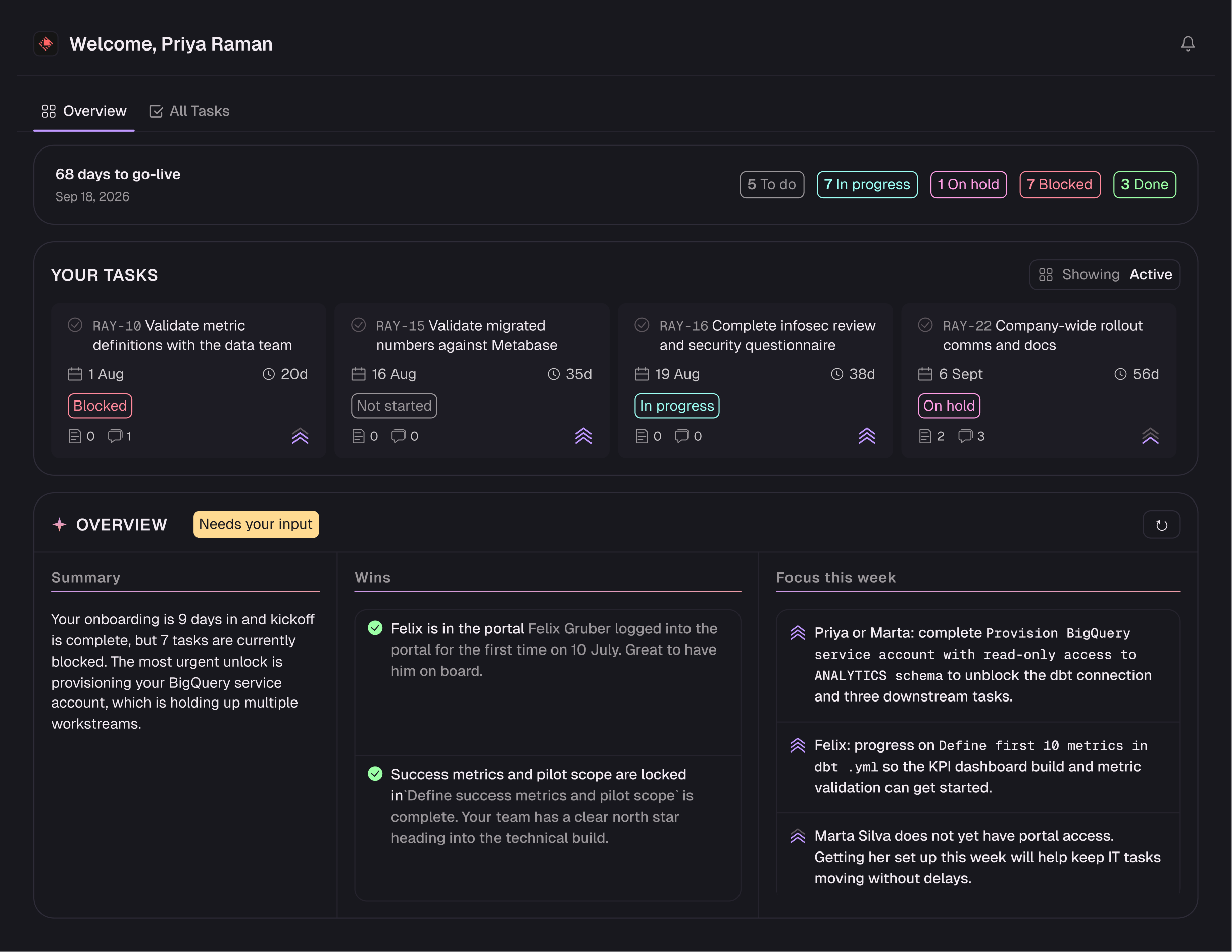 Vector's customer portal: the customer's own tasks, days to go-live, and a plain-language summary of where things stand.
